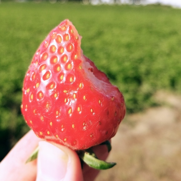 Meet your Posher, Lena - Picture 1 of 1